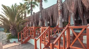 PALOMA OCEANA