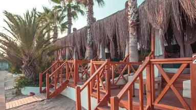 PALOMA OCEANA