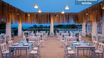PALOMA OCEANA