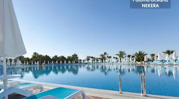 PALOMA OCEANA