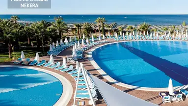 PALOMA OCEANA