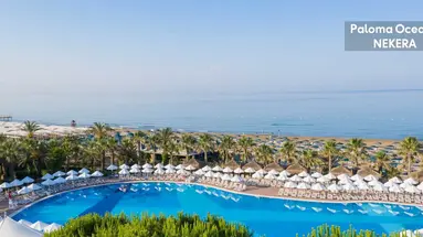 PALOMA OCEANA