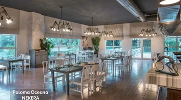 PALOMA OCEANA