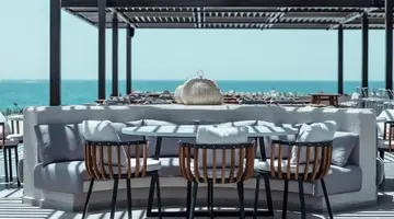 PALOMA ORENDA