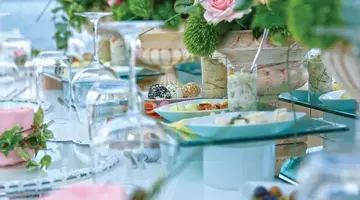 Paloma Pasha - All inclusive