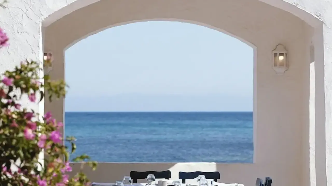 Paloma Pasha - All inclusive