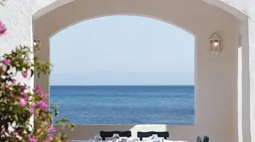 Paloma Pasha - All inclusive