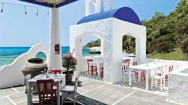 PALOMA PASHA