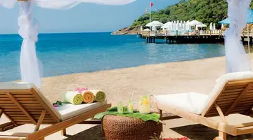 PALOMA PASHA