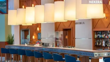 PALOMA SENCIA