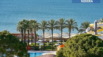 PALOMA SENCIA