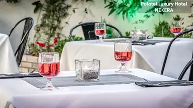 Palotel Luxury Hotel