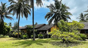 Palumbo Mnemba View
