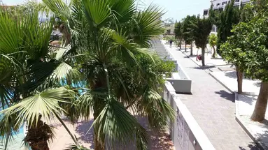 Pambos Napa Rocks