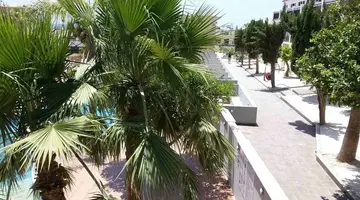 Pambos Napa Rocks