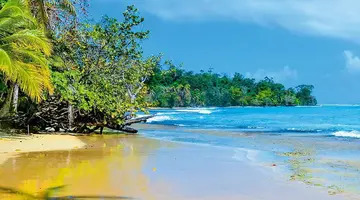 Panama Express