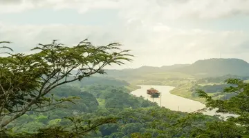 Panama Express