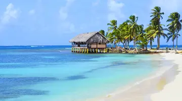 Panama Express