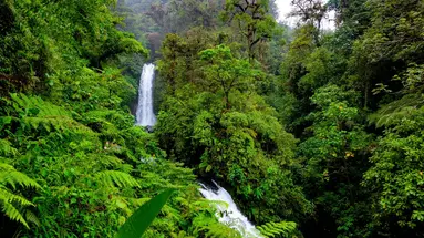 Panama, Kostaryka i Nikaragua - morze lasów, lawa przyjemności