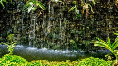 Panama, Kostaryka i Nikaragua - morze lasów, lawa przyjemności