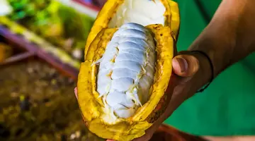 Panama, Kostaryka i rajska plaża