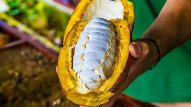 Panama, Kostaryka i rajska plaża