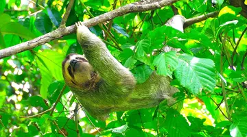 Panama, Kostaryka i rajska plaża