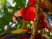 PANAMA – KOSTARYKA – NIKARAGUA – SALWADOR – HONDURAS – GWATEMALA – BELIZE – MEKSYK