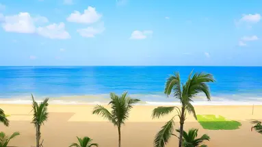 Pandanus Beach Resort & Spa