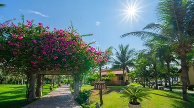PANDANUS RESORT MUINE