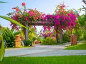 PANDANUS RESORT MUINE