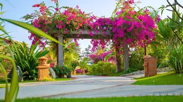 PANDANUS RESORT MUINE