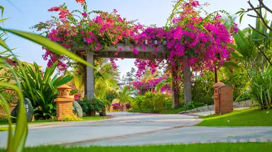 PANDANUS RESORT MUINE