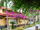PANDANUS RESORT MUINE