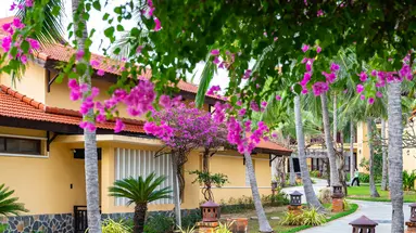 PANDANUS RESORT MUINE
