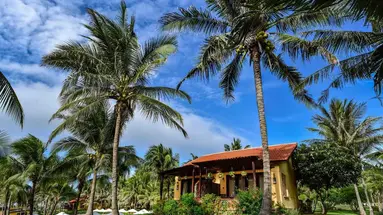 Pandanus Resort