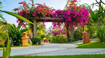 Pandanus Resort