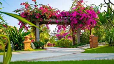 Pandanus Resort