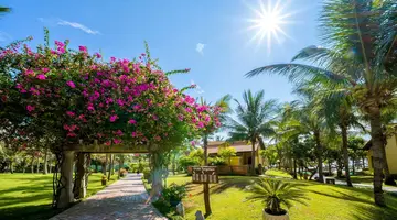 Pandanus Resort