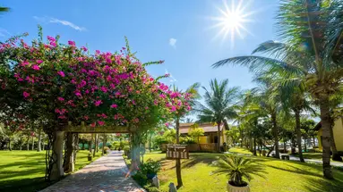 Pandanus Resort