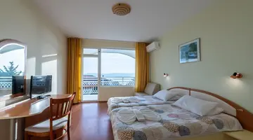 Panorama 11