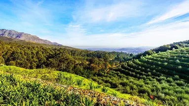 Panorama Afryki