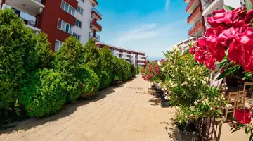 Panorama Fort Beach