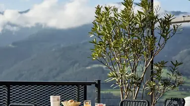 Panorama Wellnesshotel Feldthurnerhof