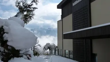 Panorama Wellnesshotel Feldthurnerhof