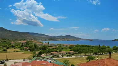Panorama