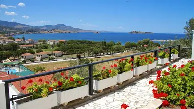 Panorama