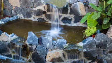 PANORAMICA GARDEN