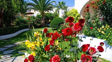 Papadakis Apartments