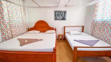 Papaya Guest House Nungwi
